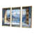 Toile avec cadre flottant or