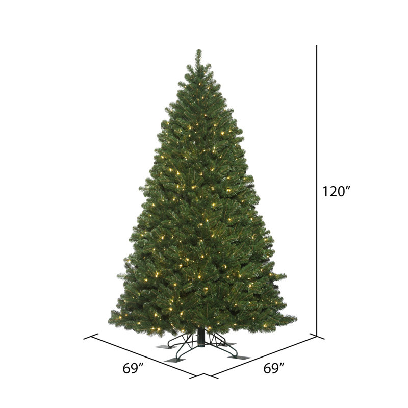Teton Outdoor Fir Ariticial Christmas Tree with Warm White Wide Angle LED Lights with Stand, 10' H