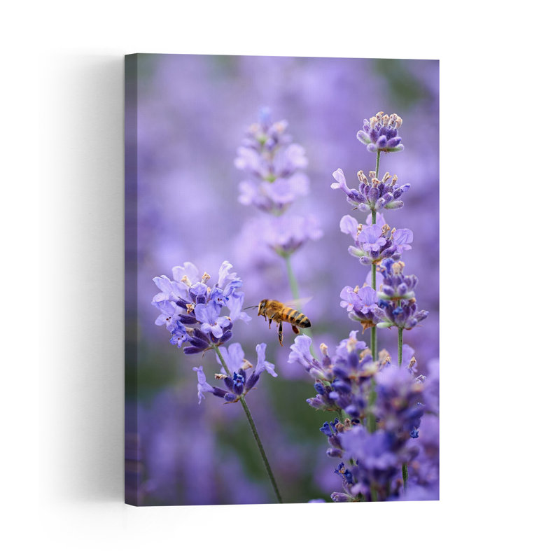 Flying Bee Lavender Bloom Delicate Vibrant Abstract Bee Lavender Violet Flower Nature Wall Art Print by Andrii Kazun - Print