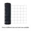 Border Fencing-183557236