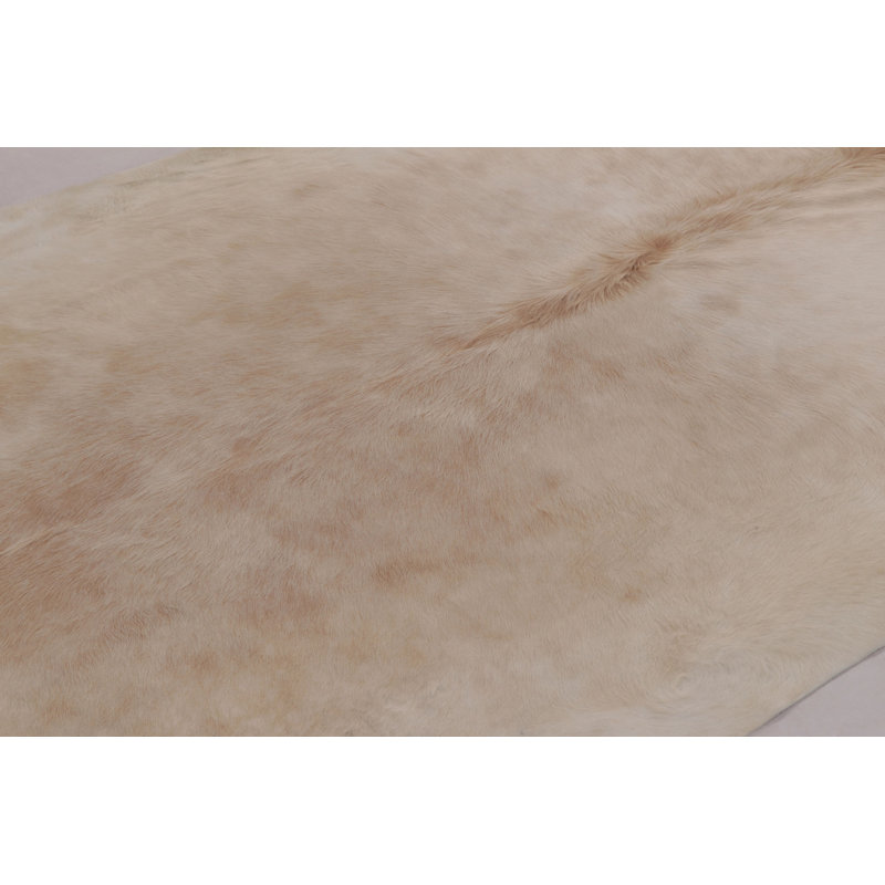 Modern Classics Hand Woven Area Rug