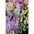 Wrapped Canvas selected