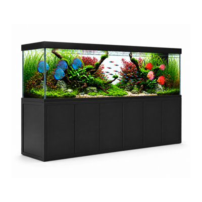 Aquarium 500 gallons en verre trempé Aqua Dream