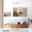Hibou Brampt-107679672