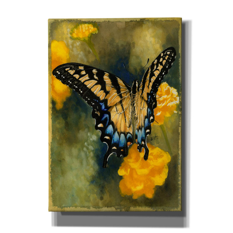 «Ariad Delicate Belle on Canvas» par Barbara Keith, reproduction, H 26 po x l 18 po x P 0,75 po