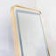 Deneane Metal Rectangle Mirror