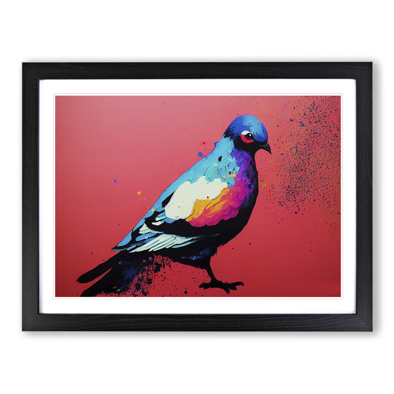 Pigeon Bird Splash Vol.2 Abstract - Single Picture Frame Print, Black Framed, 46cm H x 64cm W x 2cm D