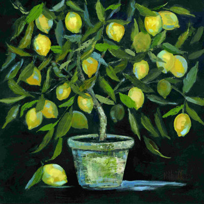 Citronnier