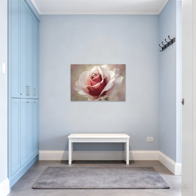Plantes et fleurs, rose doux, gros plan, art floral, H 12 po x l 18 po