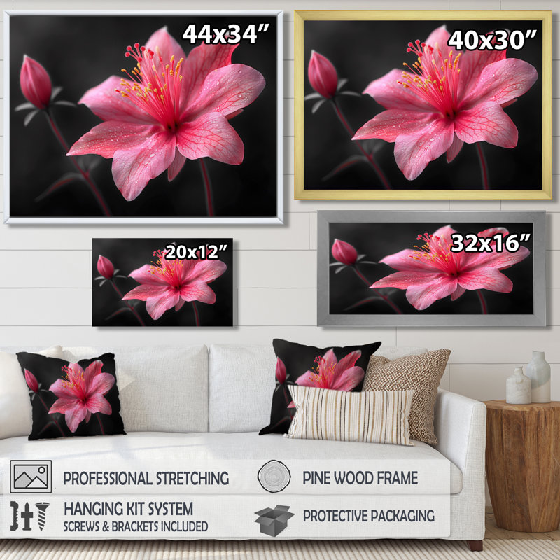Rose, gris, élégant, simplicité, fuchsia - Fuschia, art mural, H 30 po x l 40 po, Cadre pour photo simple noir, bois massif