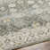 Delyse Oriental Machine Made Power Loomed Polyester Area Rug in Olive/Gold/Beige/Gray