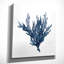 Sea Coral I - Painting-22678692-40496828