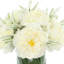 Ferdinand Peony Floral Arrangements in Vase-1498583066