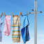 Plastic Clothesline Pole