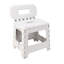 Plastic Small Step Ladder-1569988258