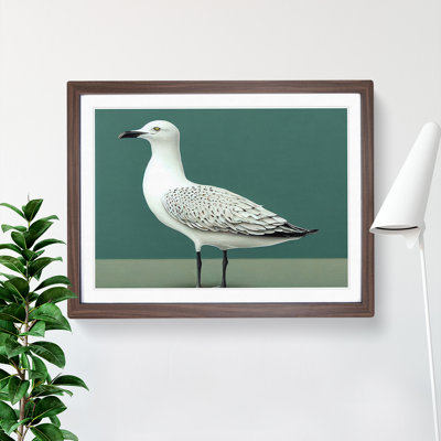 View Of A Seagull - Framed Print