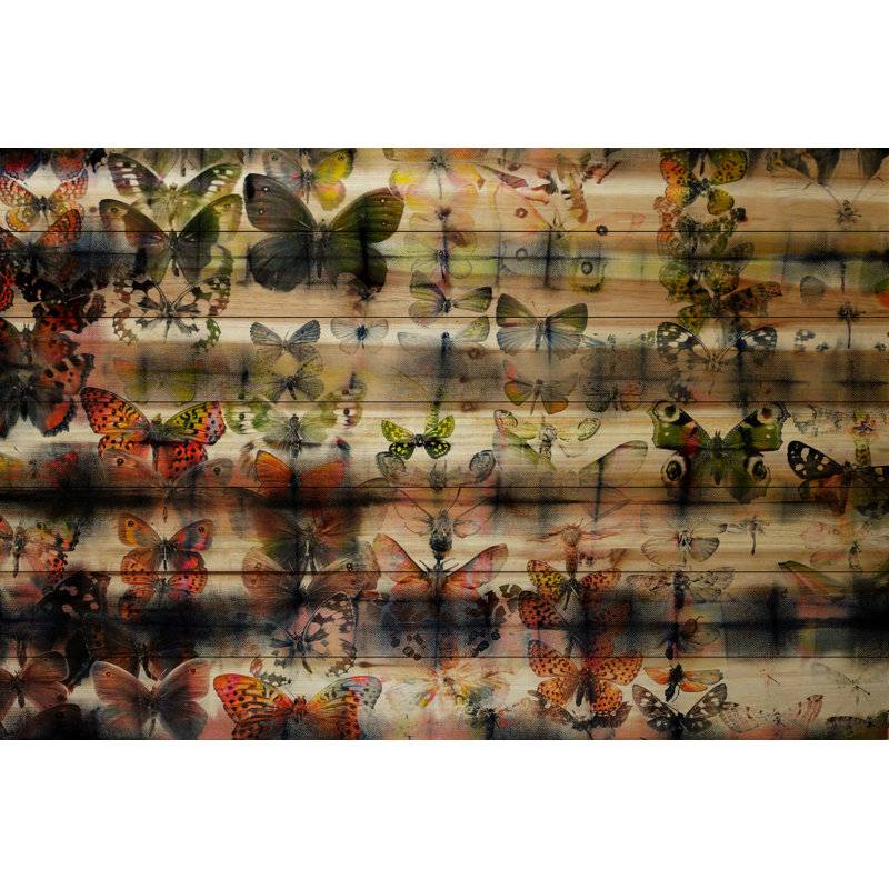 « monarch céleste » par parvez taj,, reproduction d’art sur bois de pin naturel, 40 po x 60 po