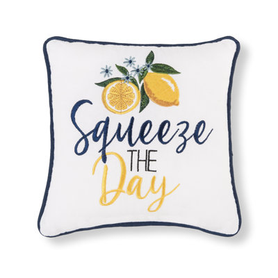 Dremon Squeeze The Day Embroidered Throw Pillow