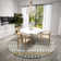 Antrel Chenille Ikat Indoor / Outdoor Rug