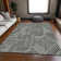 Premium Machine Washable Prisco Black Rug