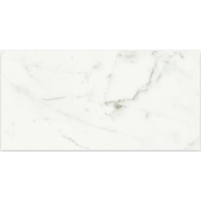 Carreau de porcelaine 12 po x 24 po Staturio