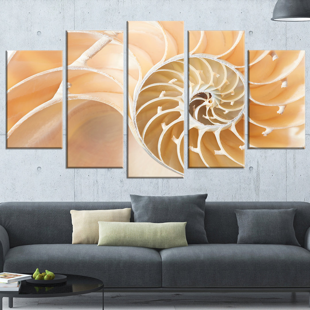 " Brown Nautilus Shell Pattern " 5 - Pieces Design Art