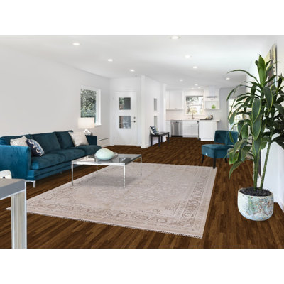 Tapis de salon traditionnel 6 x 10