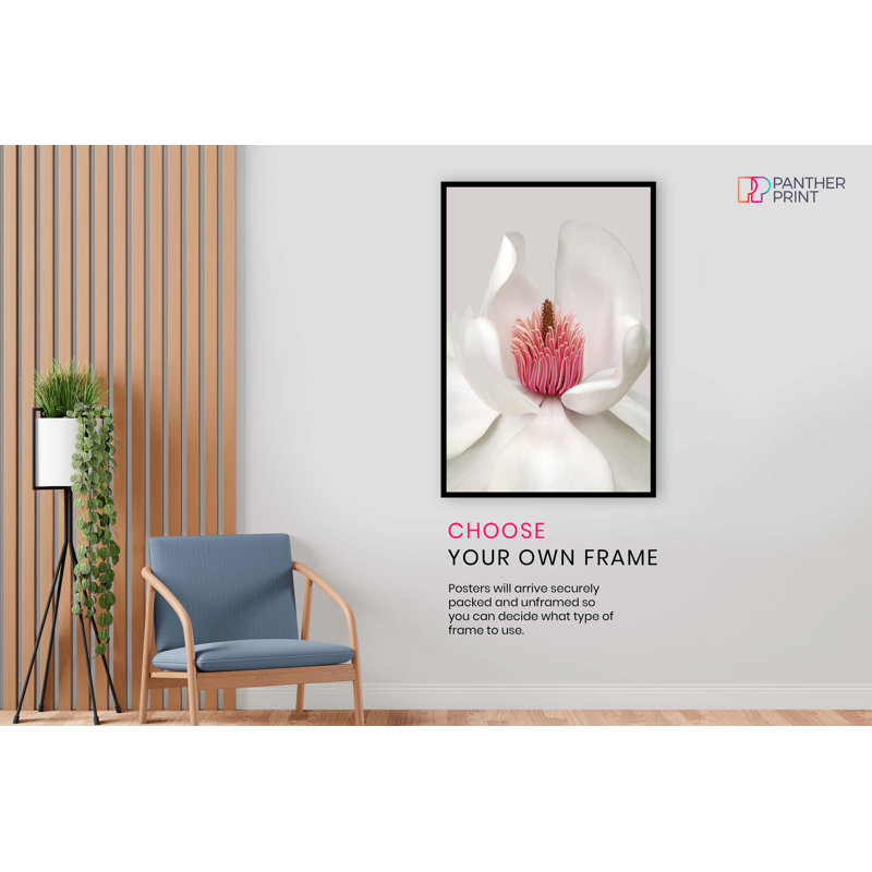 Magnolia Flower Petals - No Frame Print, 61cm H x 41cm W