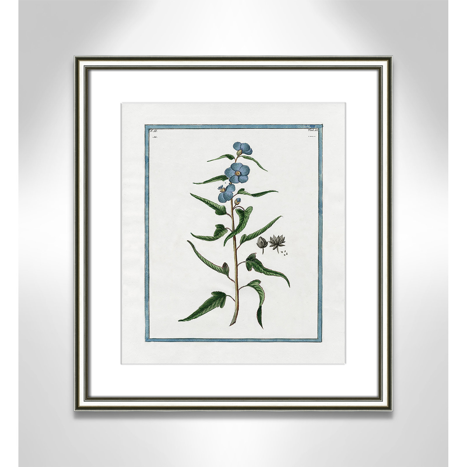 Colombe "Shabby Elegance Botanical I" Print, 14.25" W x 16.25" H, Silver Framed