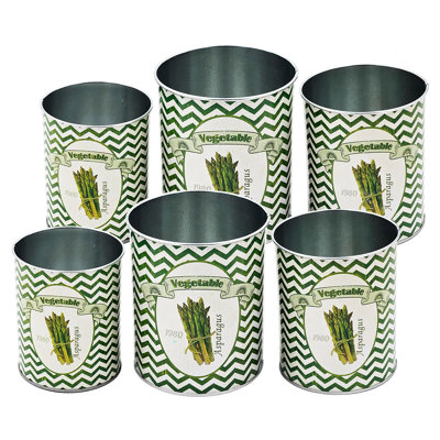 Asparagus Round Tins - Set of 6 - Green