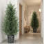 Set of 2 artificial cypress trees-135948704