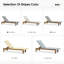  Chaise longue d'extérieur-563765675