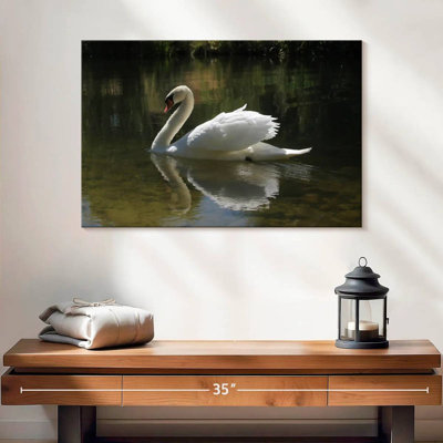 Swan Lake Reflection