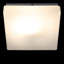 Cube Glass Flush Mount