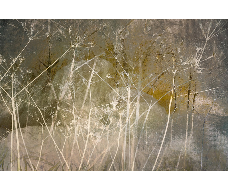 Wrapped Canvas Print, 50.8 cm H x 76.2 cm W