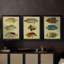 Trio de poissons tropicaux I - Toile tendue avec châssis sur mesure - 3 pièces-798829242-798829244