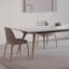 Home light luxury dining table and chair-102115858