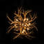 Bois de lucite-1284060195-1284060205-1284060242