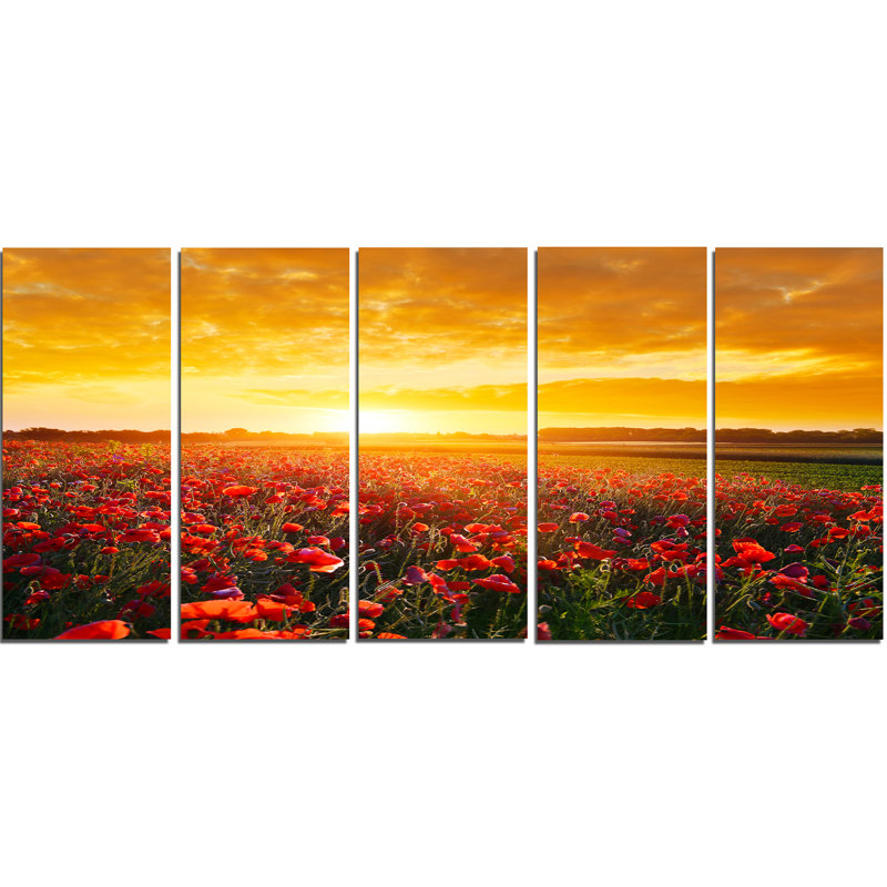 « popy field under ablaze coucher de soleil », reproduction de photo à multiples images sur toile