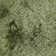 Mercury Textured Contemporary Green Area Rug