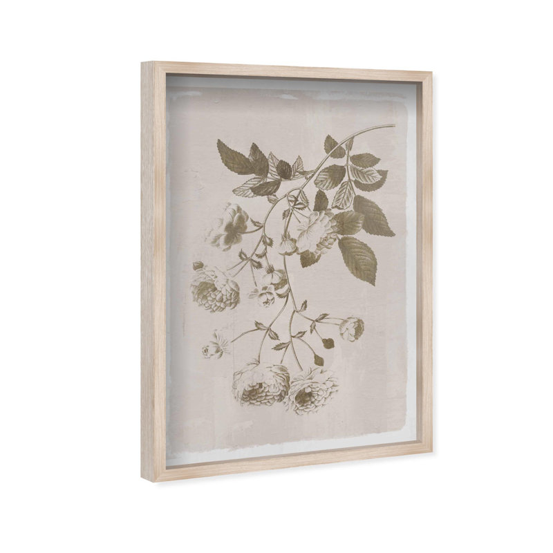 Oliver Gal Illustration of Flowers Floral and Botanical - Luxury Shadowbox Framed Wall Art, 25" H x 17" W, Cream