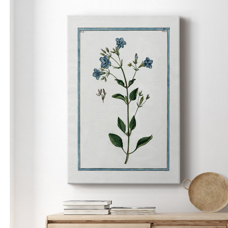 Shabby Elegance Botanical II - peinture sur toile tendue