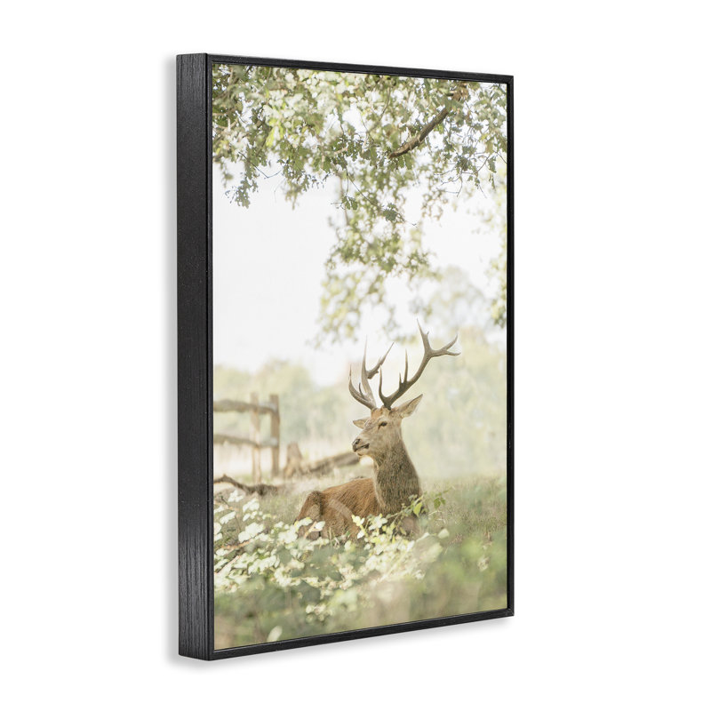 Giclée encadrée par un cerf à queue blanche, conception par Leah Straatsma, H 18 po x l 12 po, Giclée encadrée noir minuit