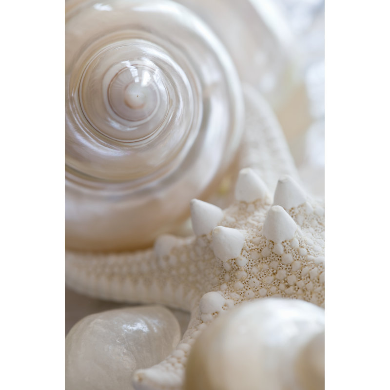 Pearlesce II 1 Piece Wrapped Canvas Painting, 30cm H x 20cm W