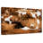 Brampt Guernsey Cows-108698609