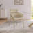 Kirshanpal Velvet Dining Chair-75000000
