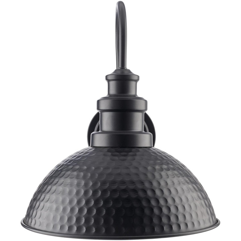 Robine Iron Plug-in Wall Sconce