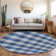 Colzie Plaid Indoor / Outdoor Rug