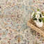 Bradeord Area Rug-894699602