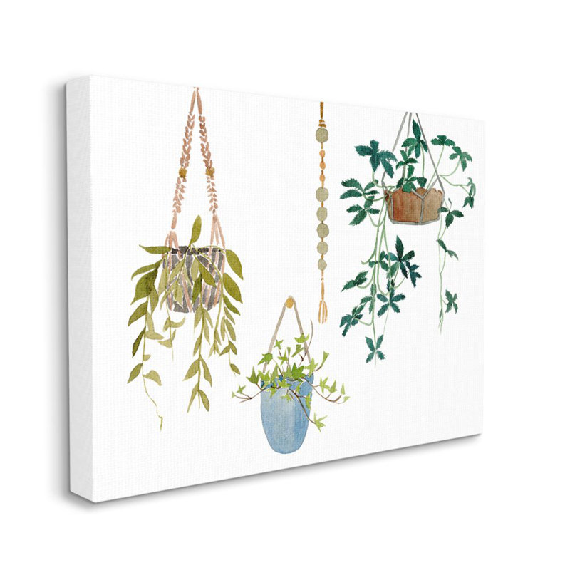 «Hanging Plant Vines Modern Greenery» par Melissa Wang - impression d'art graphique, H 16 po x l 20 po x 1,5 po, Toile tendue